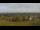 Webcam in Dobel, 7.2 mi away