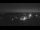Webcam in Dobel, 18.8 km