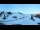 Webcam in Bramberg am Wildkogel, 1 km