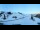 Webcam in Bramberg am Wildkogel, 0.9 km