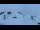 Webcam in Bramberg am Wildkogel, 4.2 mi away
