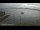 Webcam in Bangor, 60.6 mi away