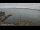 Webcam in Bangor, 7.5 mi away
