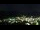 Webcam in Monguelfo-Tesido, 5.2 km
