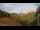 Webcam in Mühlbach, 1.1 km