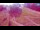 Webcam in Maribor, 0.2 km