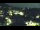 Webcam in Šempeter pri Gorici, 6.6 km