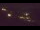 Webcam in Olang, 4.6 km entfernt