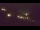 Webcam in Olang, 9.4 km