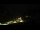 Webcam in Hüttschlag, 6.9 km entfernt