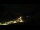 Webcam in Hüttschlag, 2.8 mi away