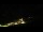 Webcam in Hüttschlag, 2.8 mi away