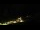 Webcam in Hüttschlag, 2.8 mi away
