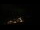 Webcam in Hüttschlag, 9.6 km entfernt