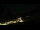 Webcam in Hüttschlag, 2.8 mi away