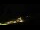 Webcam in Hüttschlag, 2.8 mi away