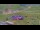 Webcam in Kuzun, 1146.9 km