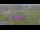 Webcam in Kuzun, 1 km