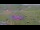Webcam in Kuzun, 0.4 mi away