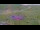 Webcam in Kuzun, 1954.5 km entfernt
