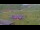 Webcam in Kuzun, 282.5 km