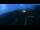 Webcam in Kuzun, 710.5 km