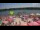 Webcam in Hürth, 7.4 mi away
