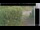 Webcam in Hasloch am Main, 7.5 mi away