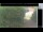 Webcam in Hasloch am Main, 31.7 km