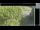 Webcam in Hasloch am Main, 31.1 km entfernt