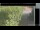 Webcam in Hasloch am Main, 15.3 mi away