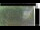 Webcam in Hasloch am Main, 23.7 km