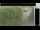 Webcam in Hasloch am Main, 1.7 mi away