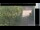 Webcam in Hasloch am Main, 0.7 km entfernt