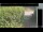 Webcam in Hasloch am Main, 7.5 mi away