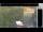 Webcam in Hasloch am Main, 11.3 mi away