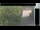 Webcam in Hasloch am Main, 29.9 km entfernt