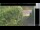 Webcam in Hasloch am Main, 16 mi away