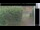 Webcam in Hasloch am Main, 18.1 mi away