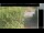 Webcam in Hasloch am Main, 7.5 mi away