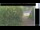 Webcam in Hasloch am Main, 4.3 km entfernt