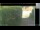 Webcam in Hasloch am Main, 11.4 mi away