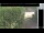 Webcam in Hasloch am Main, 7.5 mi away