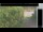Webcam in Hasloch am Main, 19.4 km entfernt