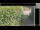 Webcam in Hasloch am Main, 12.1 mi away