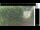Webcam in Hasloch am Main, 19.9 km