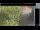 Webcam in Hasloch am Main, 11.4 mi away