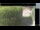Webcam in Hasloch am Main, 35.7 km entfernt