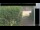 Webcam in Hasloch am Main, 37.6 km