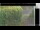 Webcam in Hasloch am Main, 39.5 km entfernt
